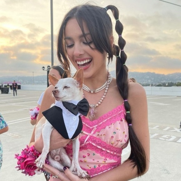 NWT Betsey Johnson Satin Printed Slip Dress Olivia Rodrigo Sour Prom Dress - Picture 3 of 11